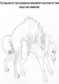 The New Pack #24