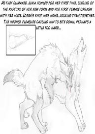 The New Pack #26