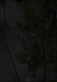 Dan’s Distortion 1 #91