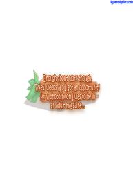 Carrot Cake 1 #14