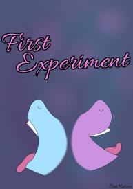 First Experiment #1