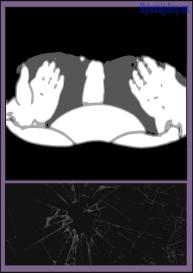 Monster Smash 2 #443