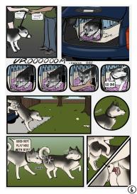 The Dog Show #6