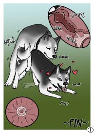 The Dog Show #7