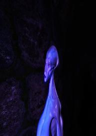 The Forbidden Temple #38