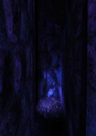 The Forbidden Temple #39