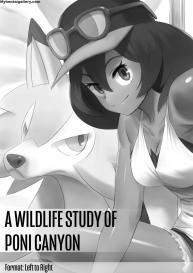 A Wildlife Study Of Poni Canyon #1