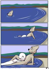 Study Partners 4 – Shipwrecked #239
