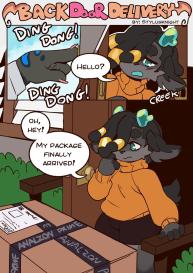 Back Door Delivery #1