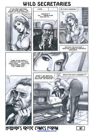 Wild Secretaries #11