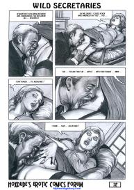 Wild Secretaries #13