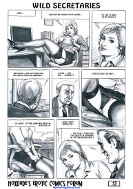 Wild Secretaries #14