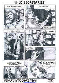 Wild Secretaries #16