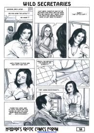 Wild Secretaries #17