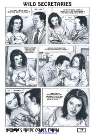 Wild Secretaries #18