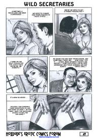 Wild Secretaries #22
