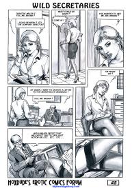 Wild Secretaries #26