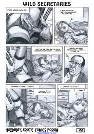 Wild Secretaries #29