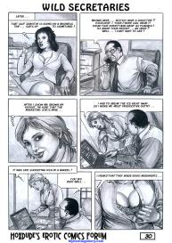 Wild Secretaries #31