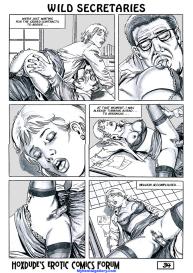 Wild Secretaries #35