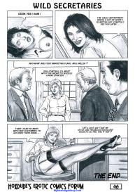 Wild Secretaries #47