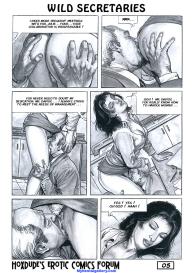 Wild Secretaries #6