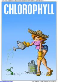 Chlorophyll #1